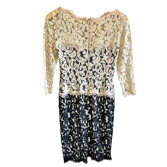 Tadashi Shoji Antique Lace Dress - 4 Petite - Picture 4 of 6